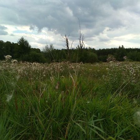 Chamedafne W Puszczy Kampinoskiej Brochów Exterior foto