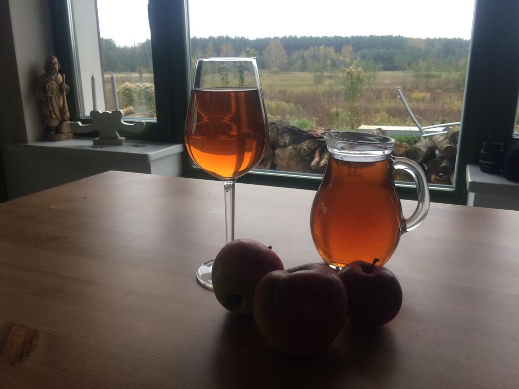 Chamedafne W Puszczy Kampinoskiej Brochów Exterior foto