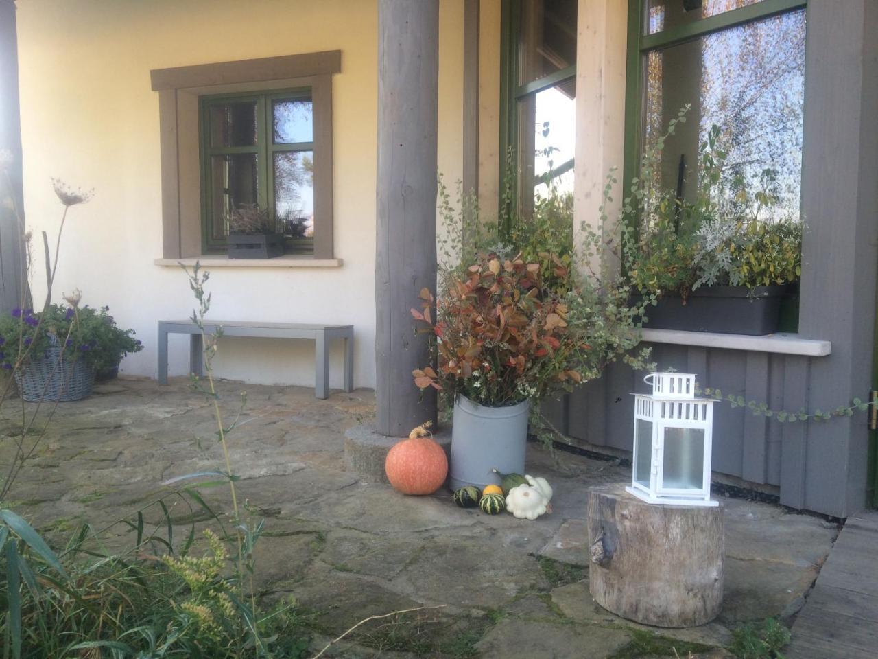 Chamedafne W Puszczy Kampinoskiej Brochów Exterior foto