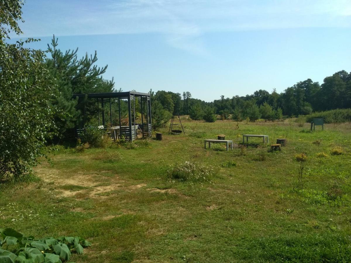 Chamedafne W Puszczy Kampinoskiej Brochów Exterior foto