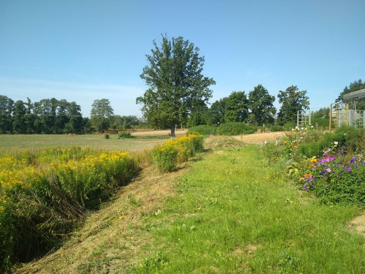 Chamedafne W Puszczy Kampinoskiej Brochów Exterior foto